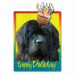 Geburtstags-kleiner Kuchen - Neufundland Freistehende Fotoskulptur<br><div class="desc">Feiern Sie einen Geburtstag mit dieser wunderlichen Neufundland-Hundegruß-Karte. Wenn ein kleiner Kuchen auf ihm balanciert ist,  ist Kopf,  ist dieser Entwurf sicher,  ein Lächeln zu holen und kichert! BTW,  dieser Entwurf hat einige Versionen,  mit verschiedenen Hintergrundfarben. Es gibt auch eine Einladung zu einer Partyversion.</div>