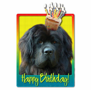 Geburtstags-kleiner Kuchen - Neufundland Freistehende Fotoskulptur