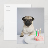 Geburtstags-Mops Postkarte (Vorne/Hinten)