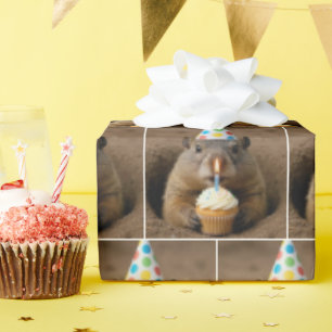 Geburtstags-Murmeltier mit Cupcake Geschenkpapier