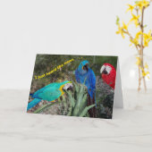 Geburtstags-Nachrichten Karte (Gelbe Blume)