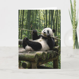 Geburtstags-Panda auf einer Holzplattform Karte