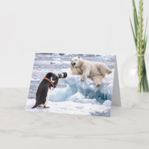 Geburtstags-Pinguin fotografiert einen Eisbären Karte