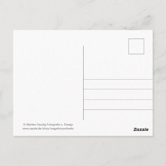 Geburtstags Schneckenpost Postkarte (Rückseite)