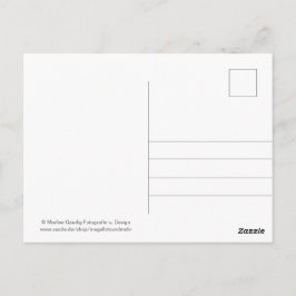 Geburtstags Schneckenpost Postkarte