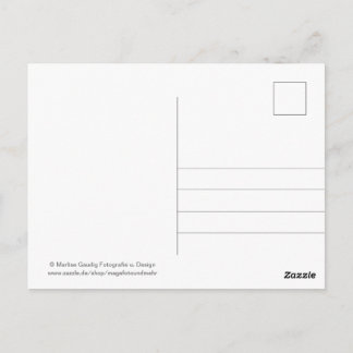 Geburtstags Schneckenpost Postkarte