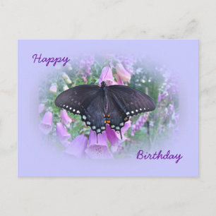 Geburtstags-Schwalbenschwanz-Schmetterling Postkarte