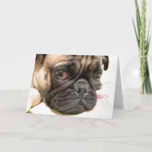 Geburtstagsalter nicht glücklich, Spaß mit Hund Karte