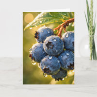 Geburtstagsblaubeeren mit Regentropfen