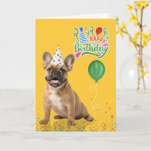 Geburtstagsfeier mit braunem Französischen Bulldog