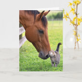 Geburtstagsfreunde Pferd mit getigerter Katze Karte (Gelbe Blume)