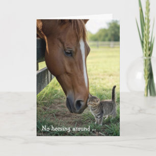 Geburtstagsfreunde Pferd mit getigerter Katze Karte