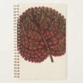 Geburtstagsgärtnergeschenke Pflanze 2022 Planer (Vorderseite)