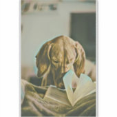 Geburtstagsgeschenk Aufkleber (Vorderseite)