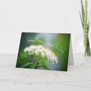 Geburtstagsglückwünsche mit weißen Blumen Karte