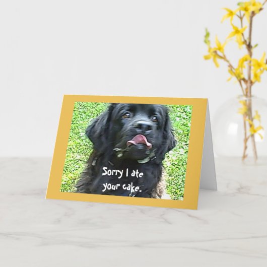 Geburtstagsgruß ~ Neufundland-Hund Karte (Gelbe Blume)