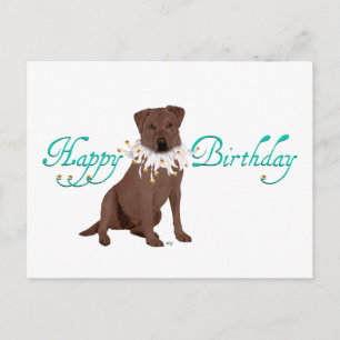 Geburtstagsgrüße für Labrador Retriever Postkarte