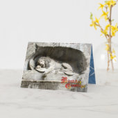 Geburtstagsgrüße - Löwendenkmal, Luzern Karte (Gelbe Blume)