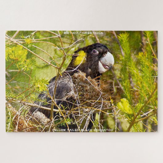 Geburtstagsgrüße Yellow Tails Black Cockatoo Puzzle (Horizontal)