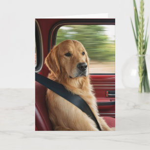 Geburtstagshumor Golden Retriever mit Sicherheitsg Karte