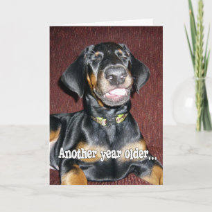 Geburtstagshumor - lächelnder Dobermann Pinscher W Karte