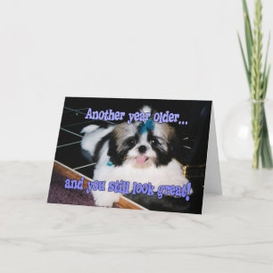Geburtstagshumor - Süßer Shih-Tzu-Welpe Karte