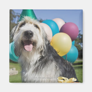 Geburtstagshund Magnet