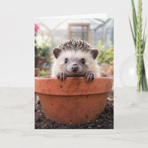 Geburtstagsigel in einem Tongeranium Karte