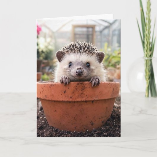 Geburtstagsigel in einem Tongeranium Karte (Vorderseite)