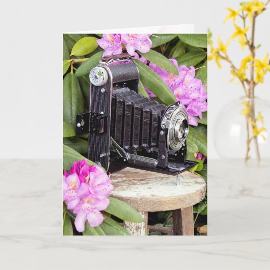 Geburtstagskamera Vintag Bellows Karte (Gelbe Blume)