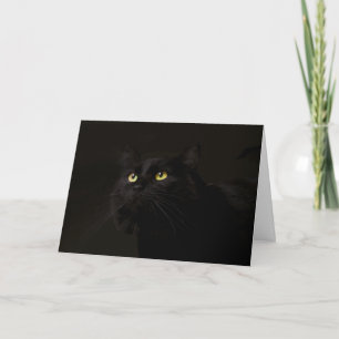 Geburtstagskarte der Black Cat durch Fokus für ein Karte