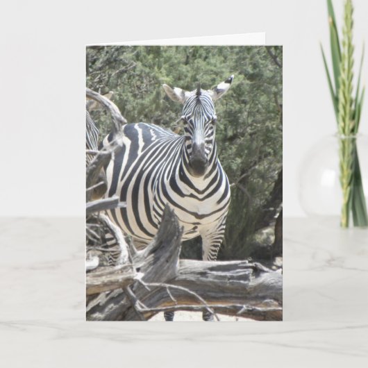 Geburtstagskarte des Cockehrs Karte (Vorderseite)