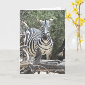 Geburtstagskarte des Cockehrs Karte (Gelbe Blume)