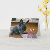 Geburtstagskarte des Hühners Karte (Gelbe Blume)