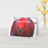 Geburtstagskarte Eclectus Papagei Karte (Gelbe Blume)