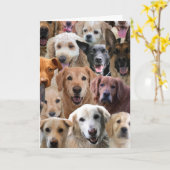 Geburtstagskarte einer Gruppe Karte (Gelbe Blume)