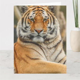 GEBURTSTAGSKARTE FÜR BENGAL-TIGER KARTE