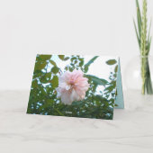 Geburtstagskarte für jemanden karte (Rückseite)