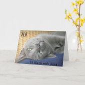 Geburtstagskarte: Graue Katze wünscht einen guten Karte (Gelbe Blume)