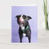 Geburtstagskarte Karte (Vorderseite)