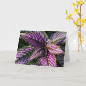 Geburtstagskarte Karte (Gelbe Blume)