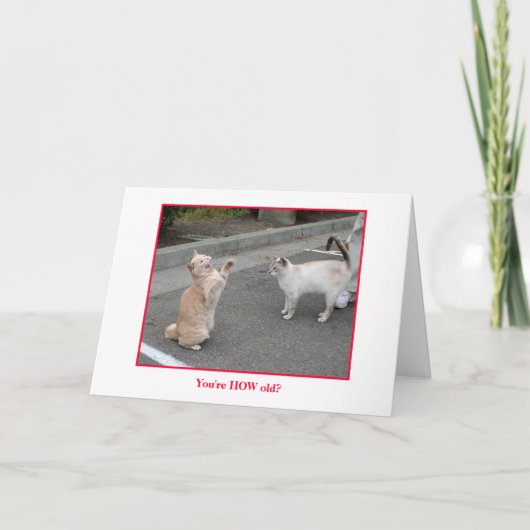 Geburtstagskarte Karte (Vorderseite)