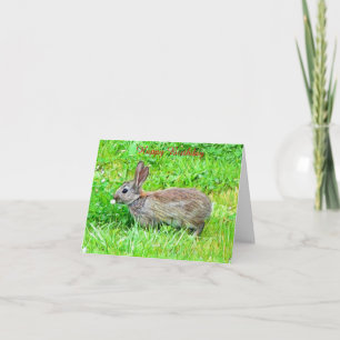 Geburtstagskarte Karte