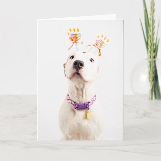 Geburtstagskarte Karte (Vorderseite)