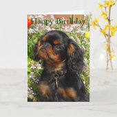 Geburtstagskarte: König Charles Spaniel/englisches Karte (Gelbe Blume)