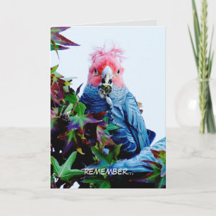 Geburtstagskarte mit Gang-Cockatoo (Vogel) Karte