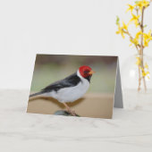 Geburtstagskarte mit Gelbschnabel-Kardinal Karte (Gelbe Blume)