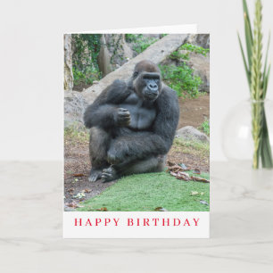 Geburtstagskarte mit Gorilla im Zoo Karte