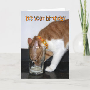 Geburtstagskarte mit Katze, die aus einem Glas tri Karte