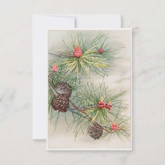 Geburtstagskarte mit Kiefern und Blume Einladung (Vorderseite)